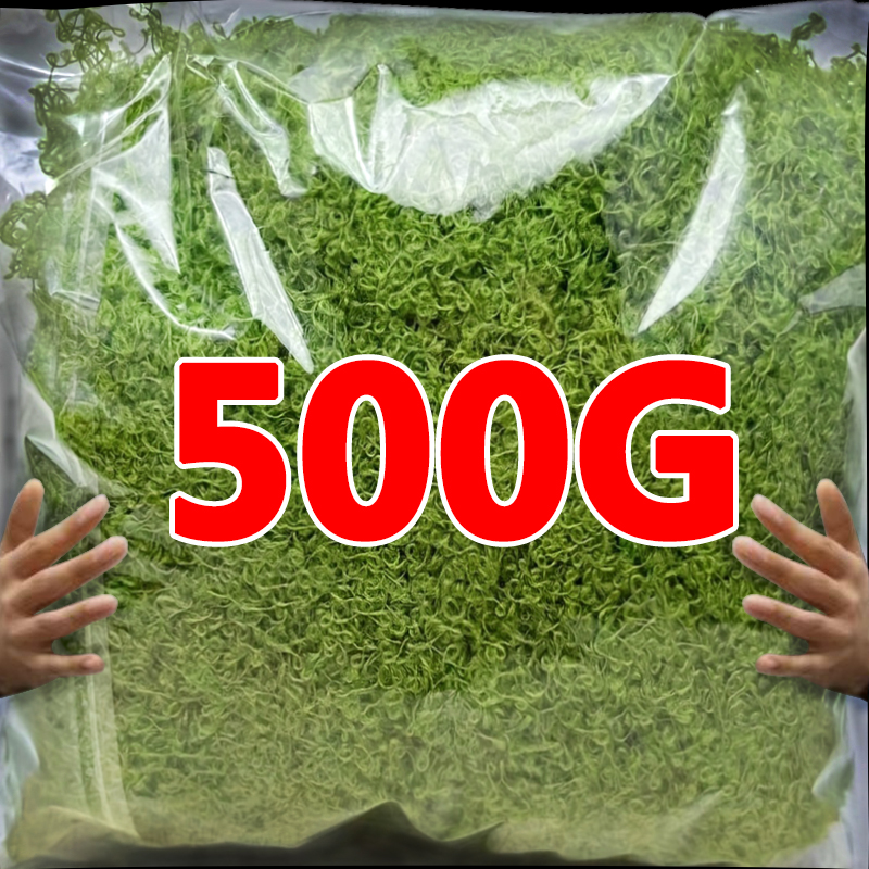 Sphagnum Moss Dry - 500/30G Artificial Green Plants Eternal Life