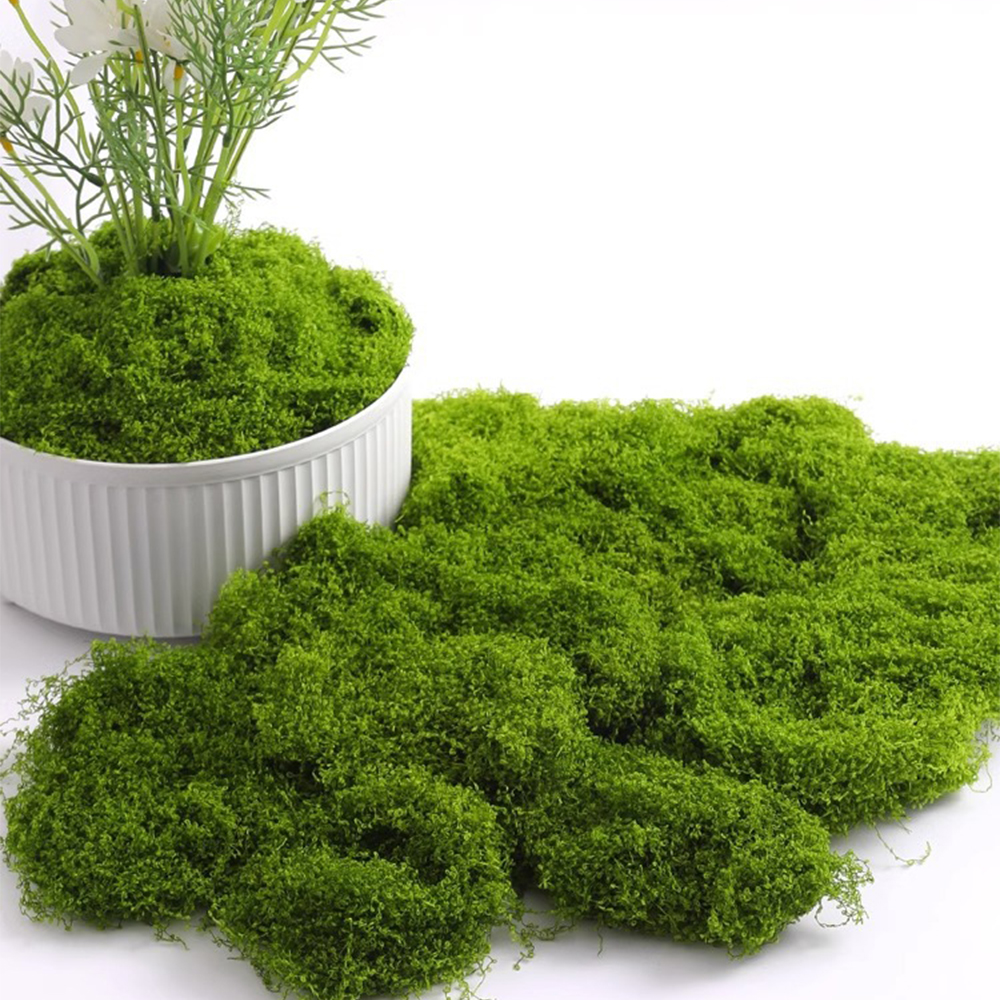 Sphagnum Moss Dry - 100/200/500g Eternal Life Moss DIY Crafts
