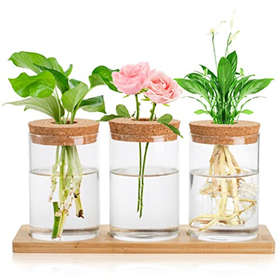 3 Pcs Plant Terrarium Propagat - Propagation Station Vase recensione e prezzo