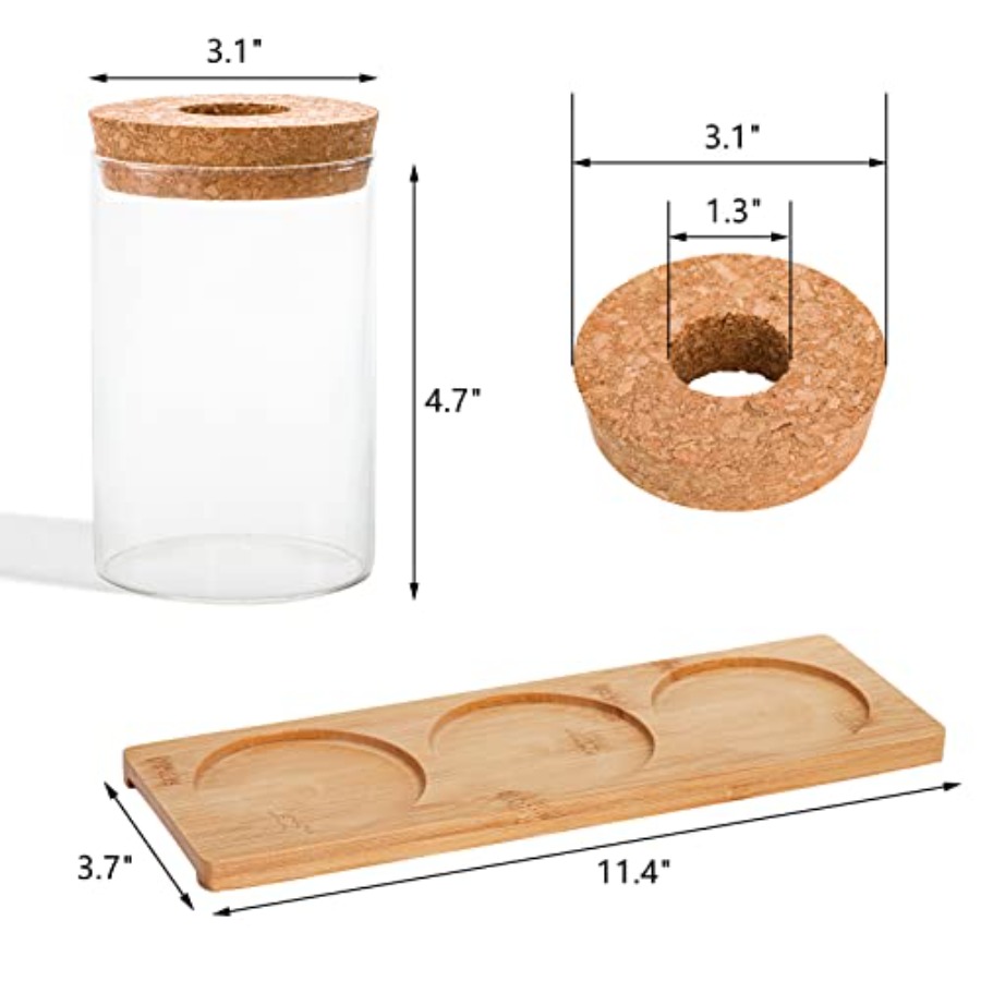 3 Pcs Plant Terrarium Propagat - Propagation Station Vase recensione e prezzo