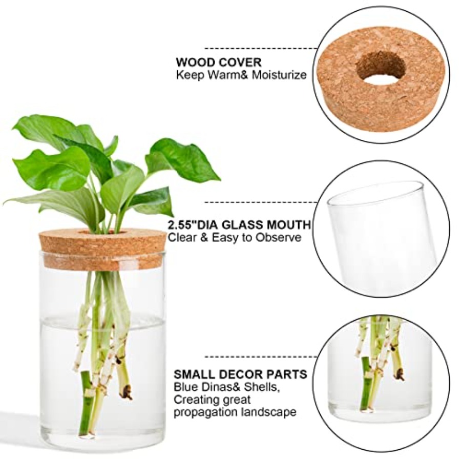 3 Pcs Plant Terrarium Propagat - Propagation Station Vase recensione e prezzo