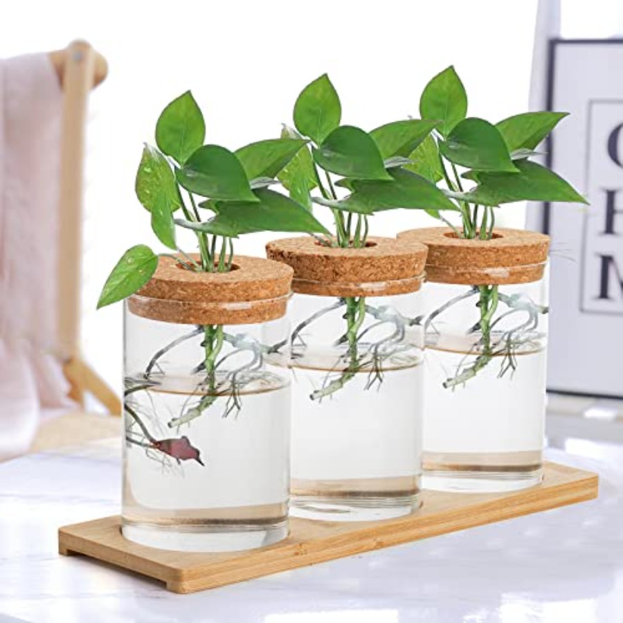 3 Pcs Plant Terrarium Propagat - Propagation Station Vase recensione e prezzo