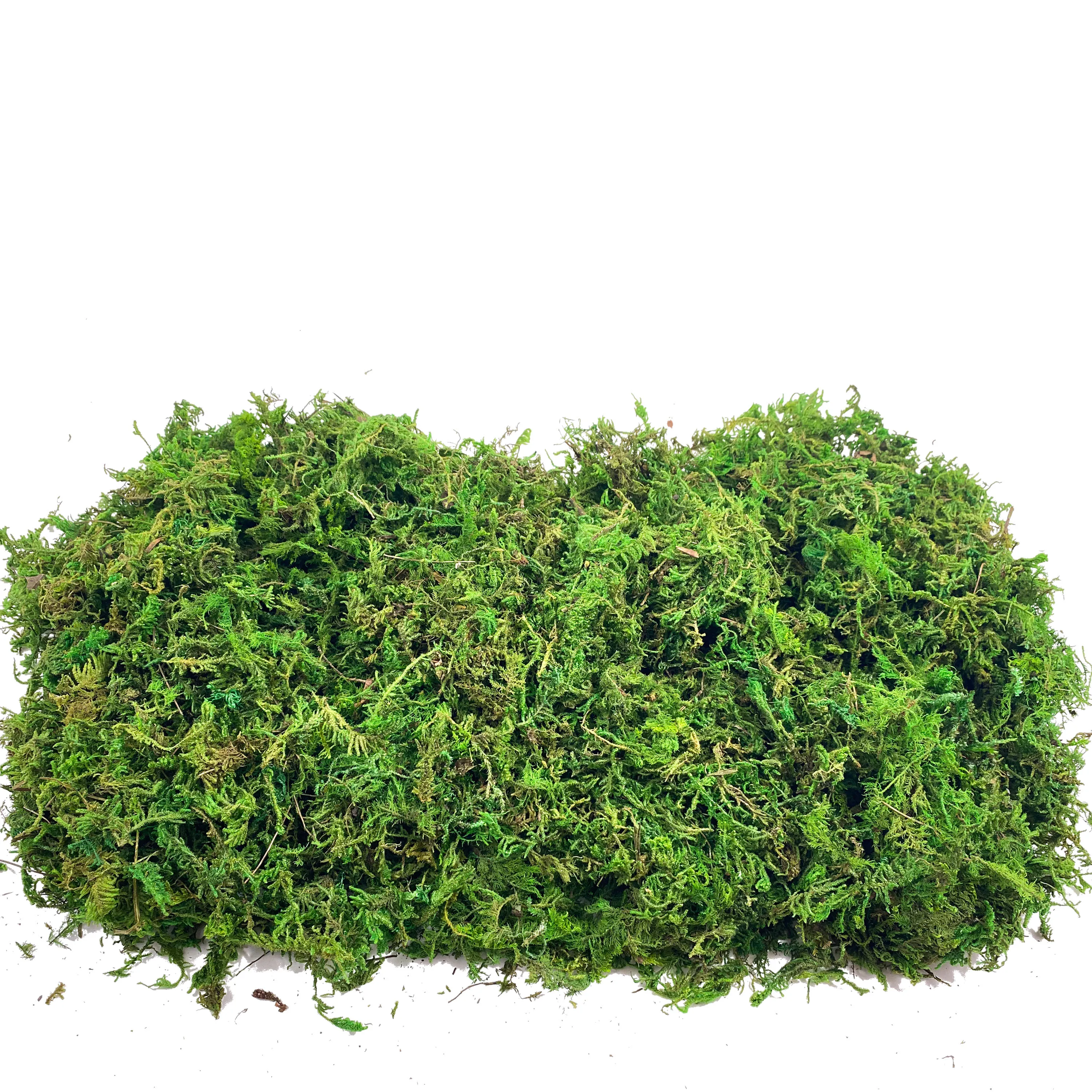 Fake Moss Artificial Moss for  - Sphagnum Moss Dry recensione e prezzo