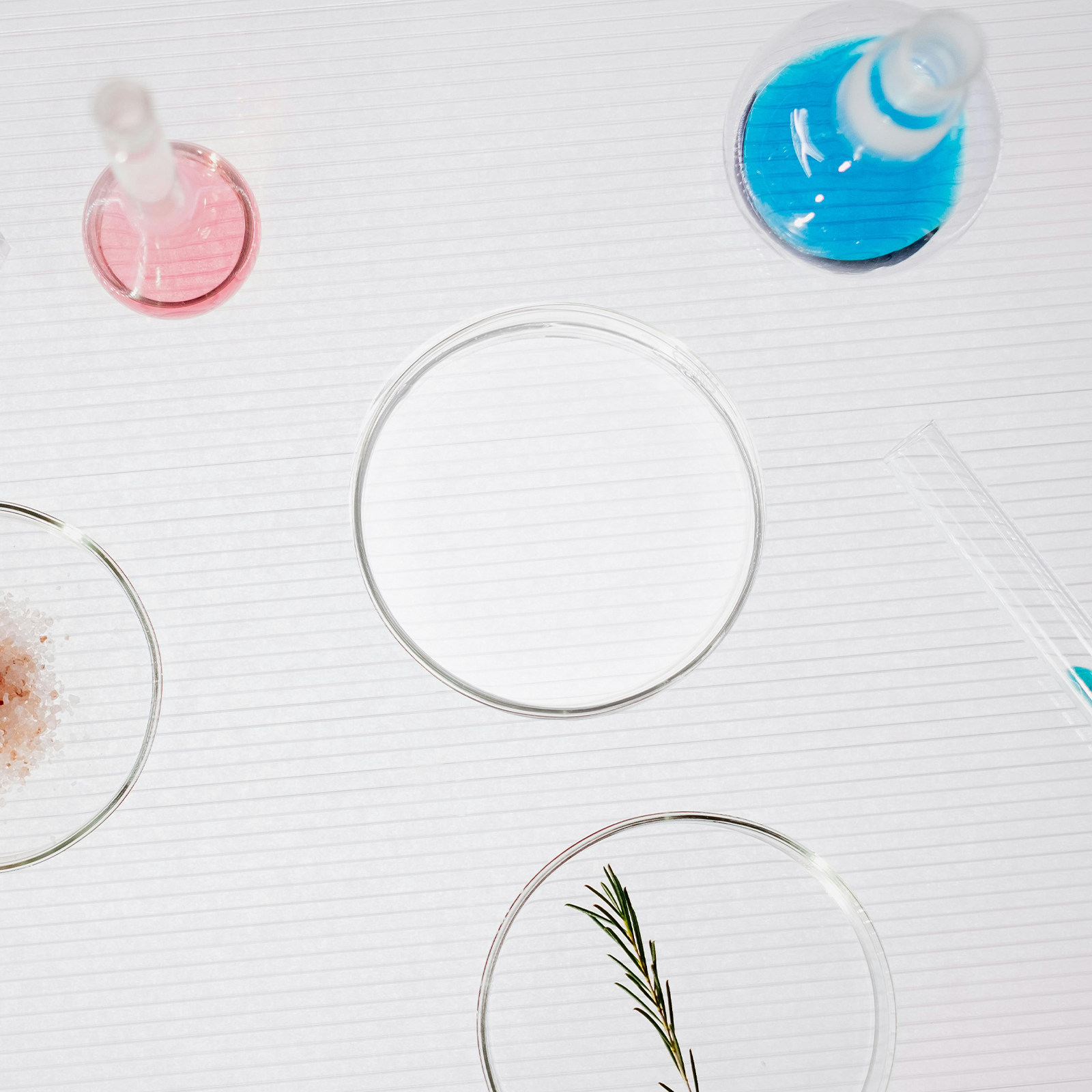 Glass Petri Dish Flat Bottom R - Agar Tissue Culture recensione e prezzo