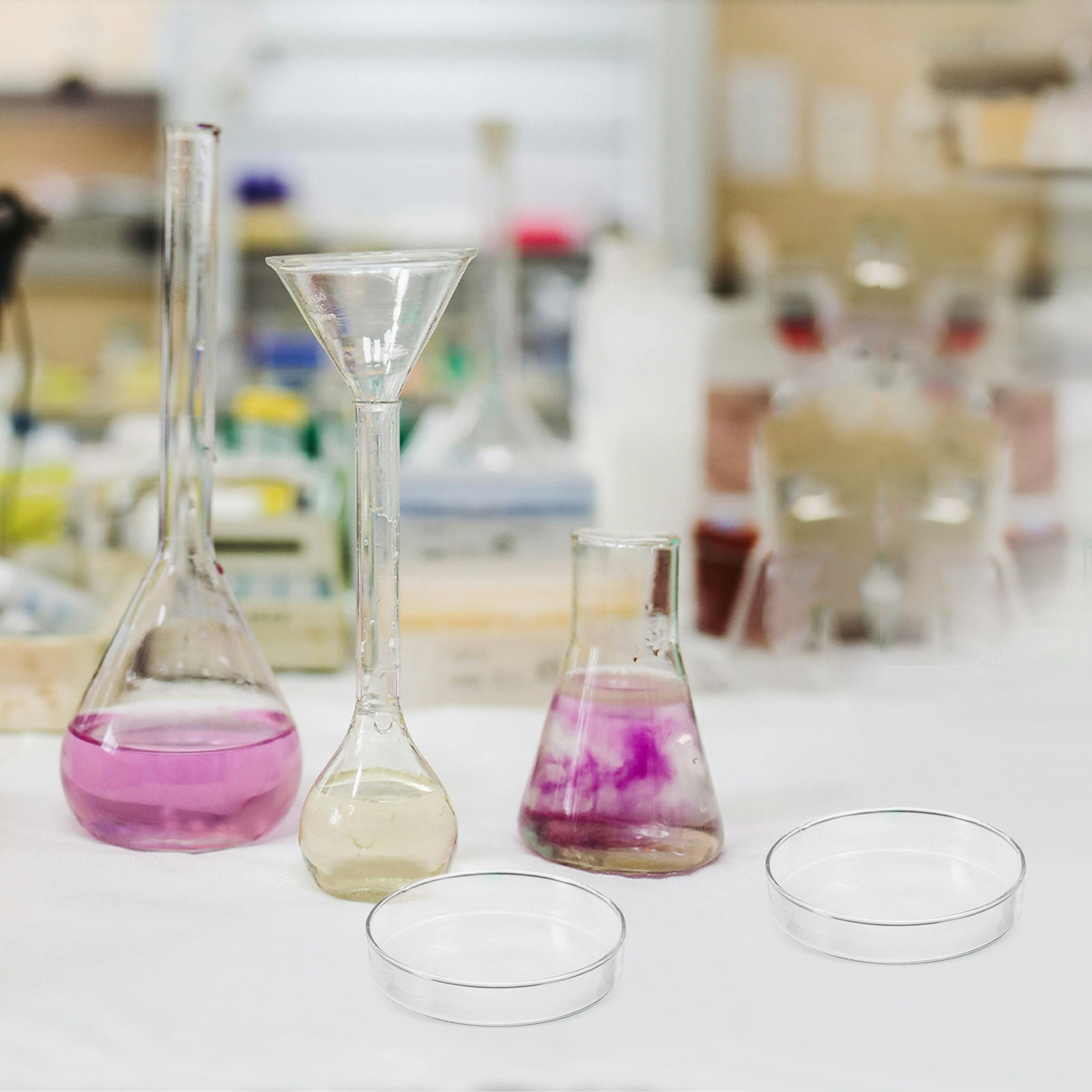 Glass Petri Dish Flat Bottom R - Agar Tissue Culture recensione e prezzo