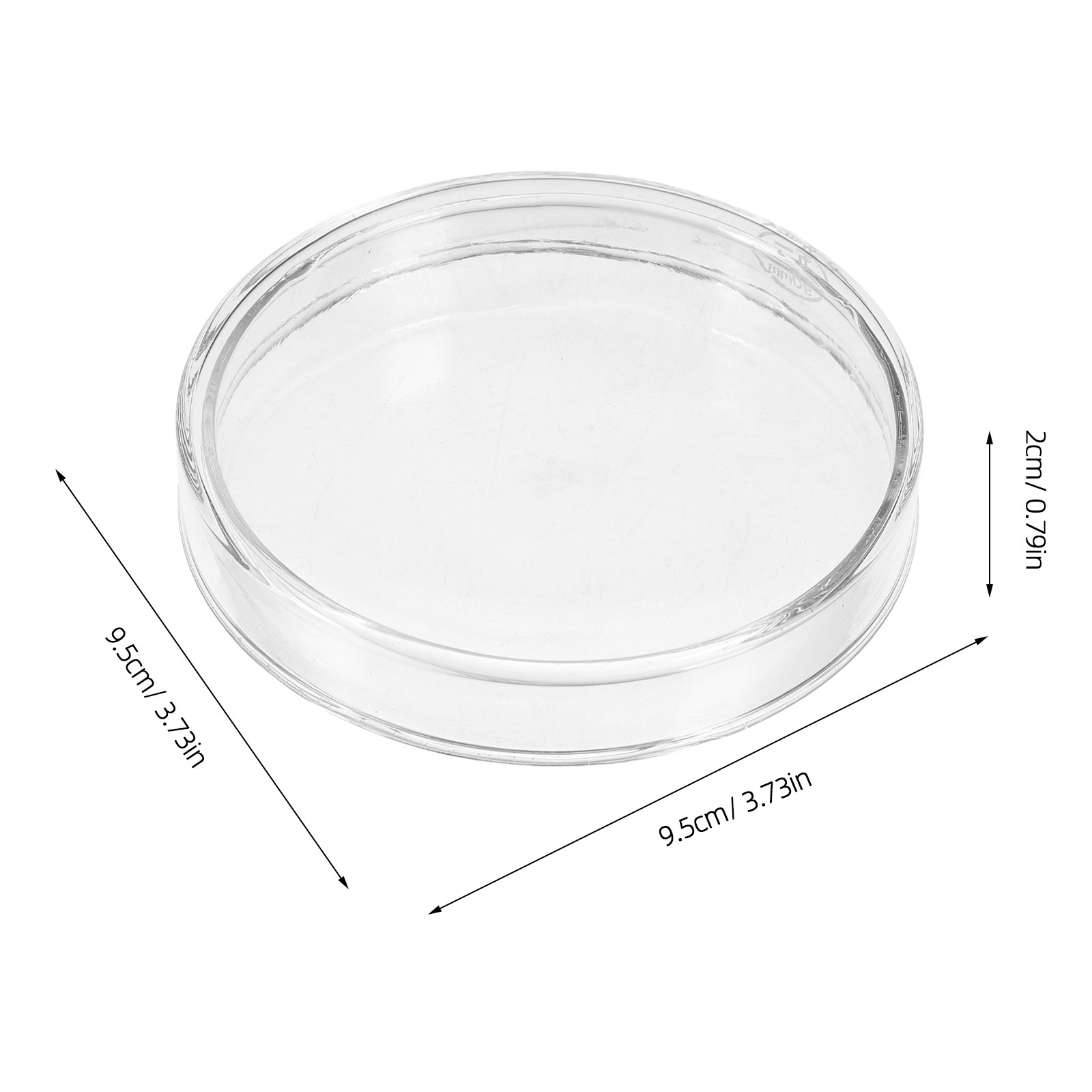 Glass Petri Dish Flat Bottom R - Agar Tissue Culture recensione e prezzo