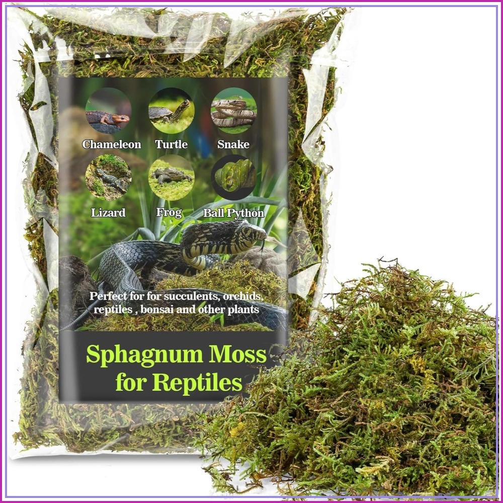 Sphagnum Moss for Reptiles - G - Sphagnum Moss Dry recensione e prezzo