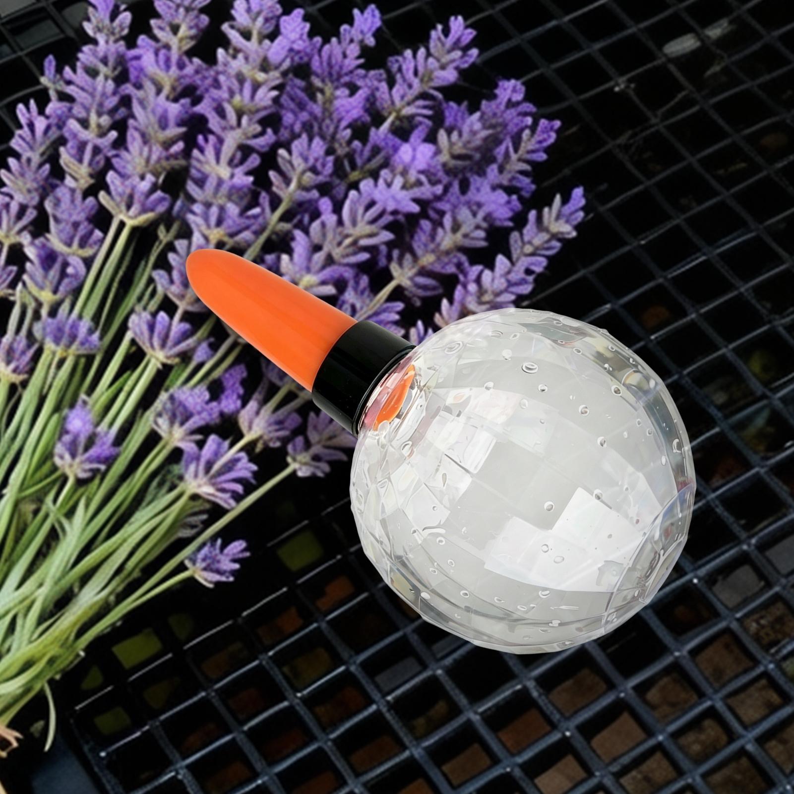 Self Watering Planter Insert 5 - Self Watering Insert recensione e prezzo