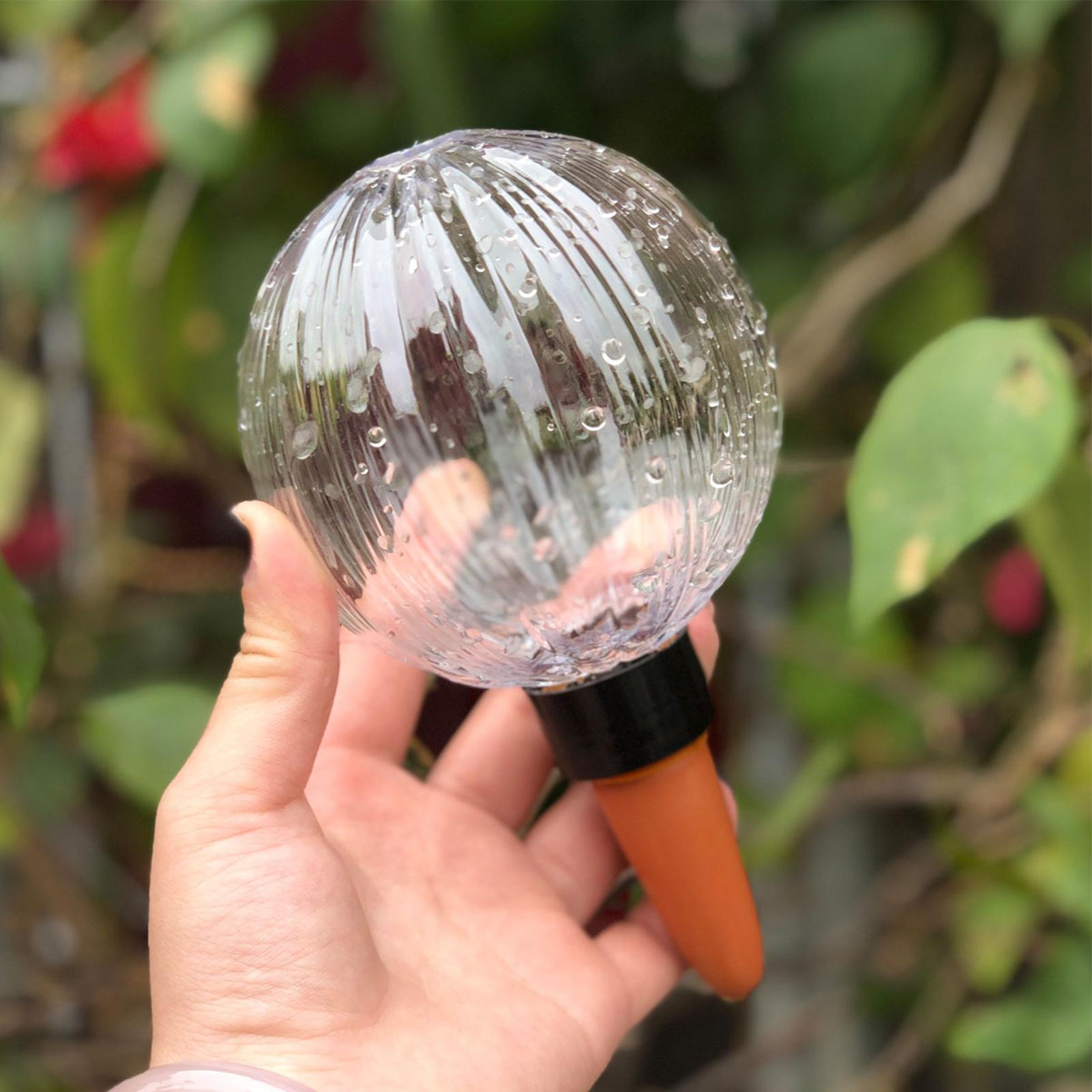 Self Watering Planter Insert 5 - Self Watering Insert recensione e prezzo