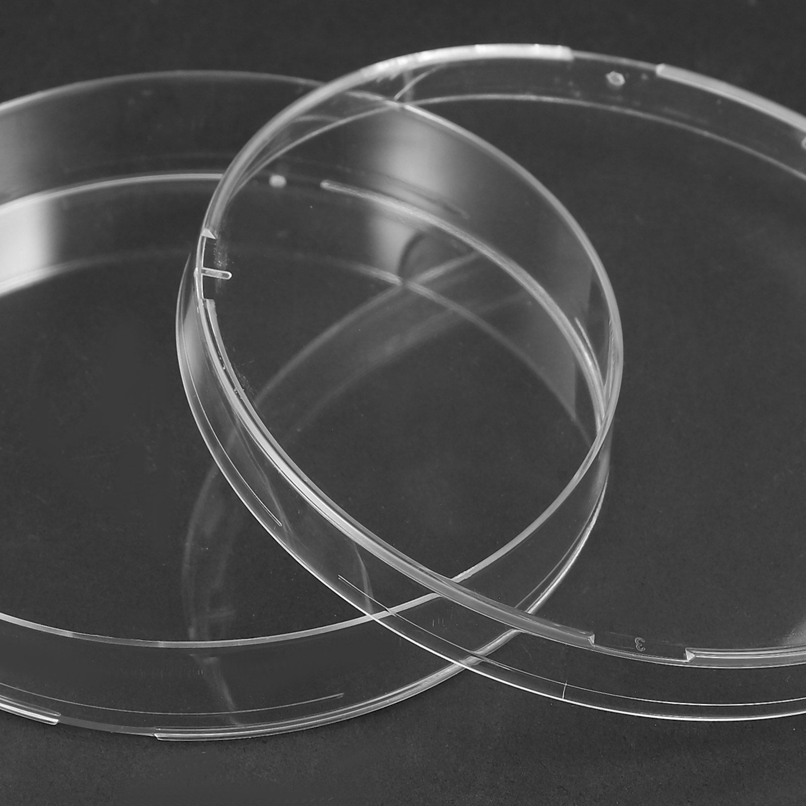 20Pcs Clear Sterile Petri Dish - Agar Tissue Culture recensione e prezzo
