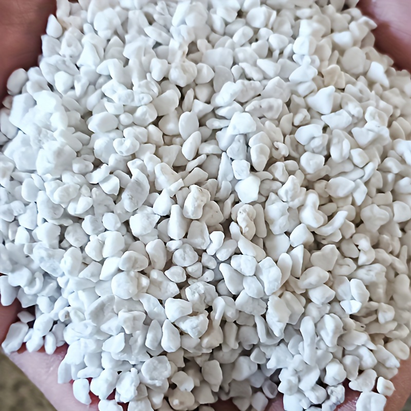 1 Bag 3-6 mm Gardening Perlite - Sphagnum Moss Dry recensione e prezzo