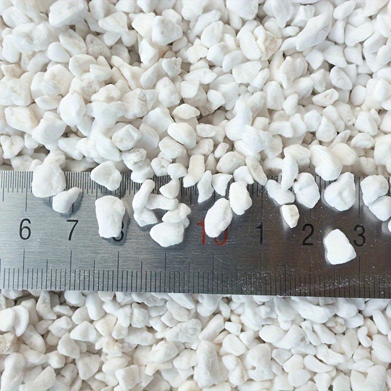 1 Bag 3-6 mm Gardening Perlite - Sphagnum Moss Dry recensione e prezzo