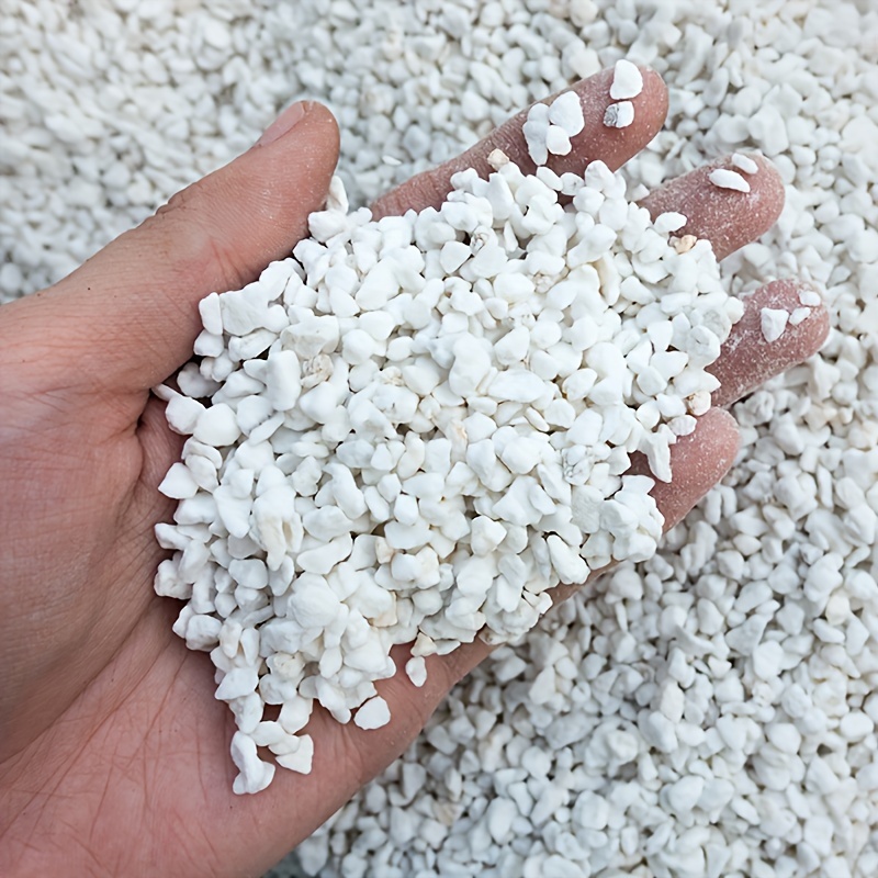 1 Bag 3-6 mm Gardening Perlite - Sphagnum Moss Dry recensione e prezzo