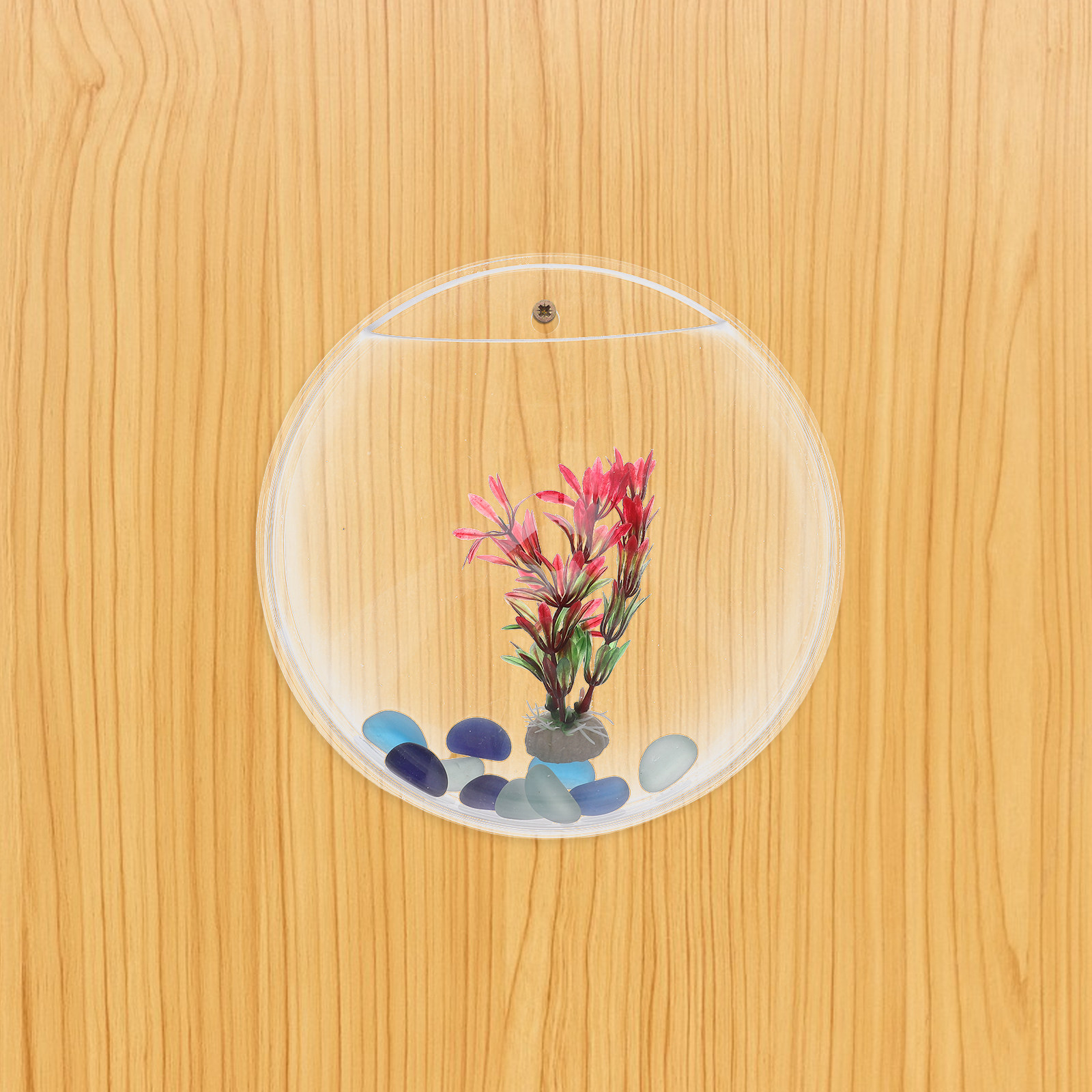 1Set Wall-Mounted Fish Tank 23 - Propagation Station Vase recensione e prezzo