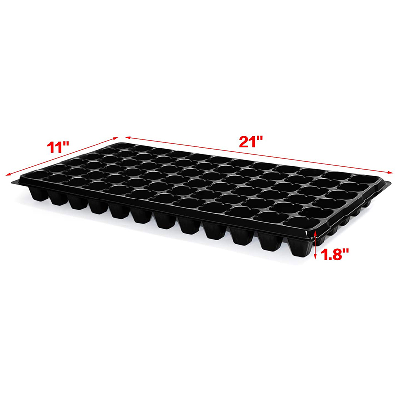 B84B-10 Pack Seed Starter Tray - Propagation Tray 72 recensione e prezzo