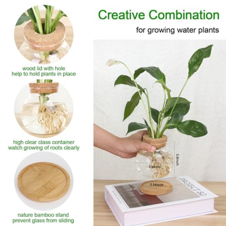 Plant Propagation Station, Hyd - Propagation Station Vase recensione e prezzo