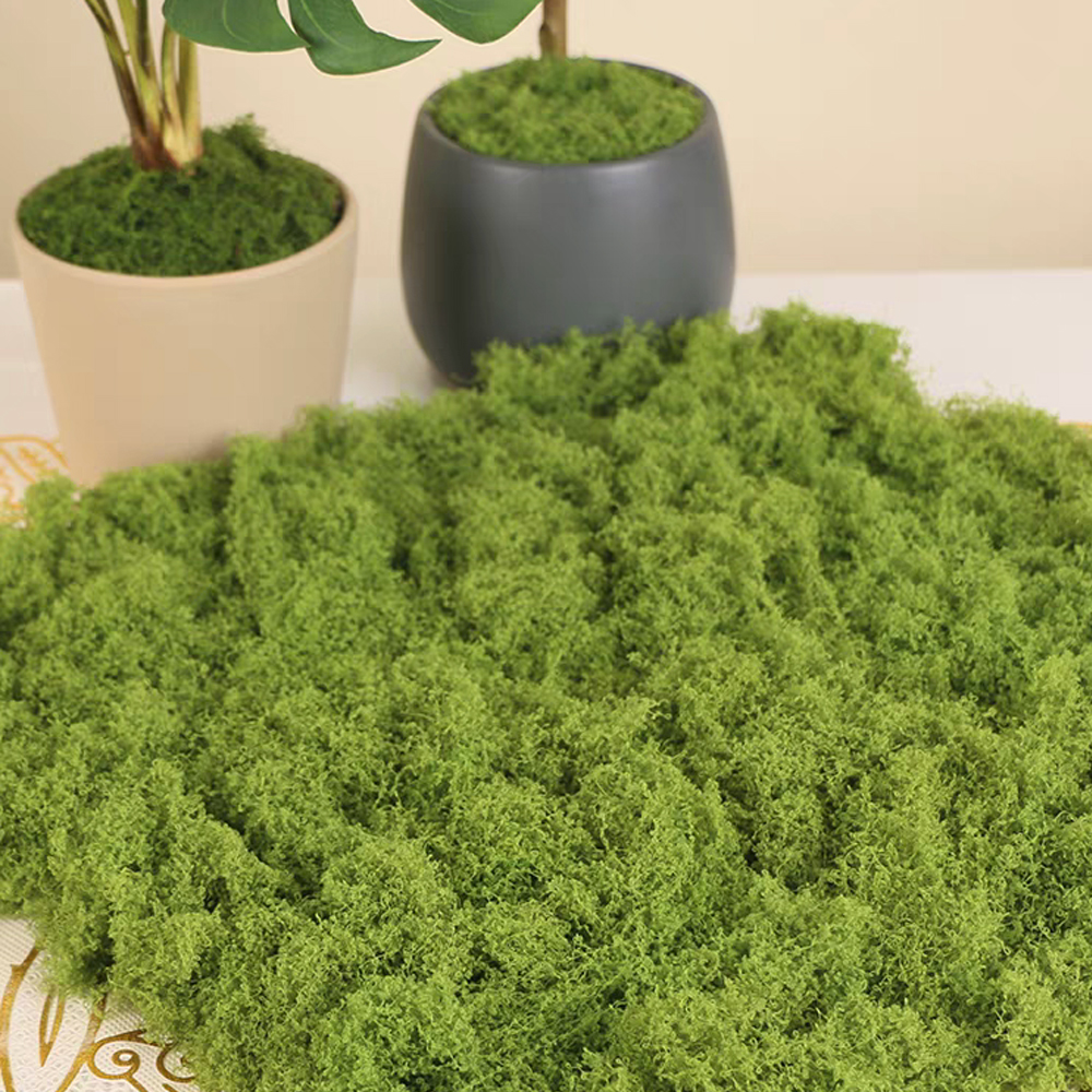 500/30G Artificial Green Plant - Sphagnum Moss Dry recensione e prezzo