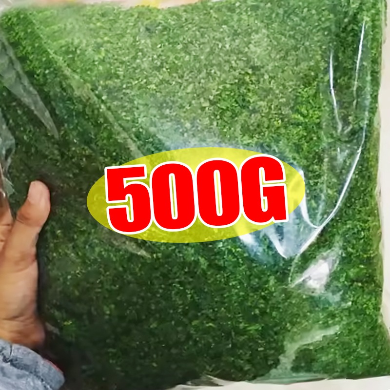 Wholesale Artificial Green Ete - Sphagnum Moss Dry recensione e prezzo