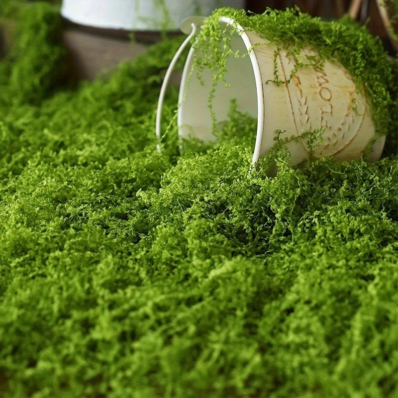 Wholesale Artificial Green Ete - Sphagnum Moss Dry recensione e prezzo