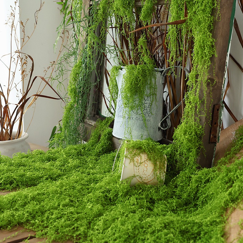 Wholesale Artificial Green Ete - Sphagnum Moss Dry recensione e prezzo
