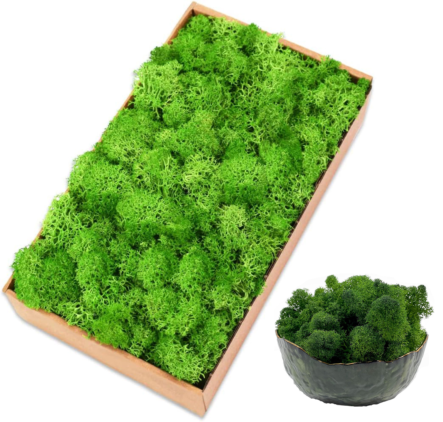Eternal Life Moss Artificial G - Sphagnum Moss Dry recensione e prezzo