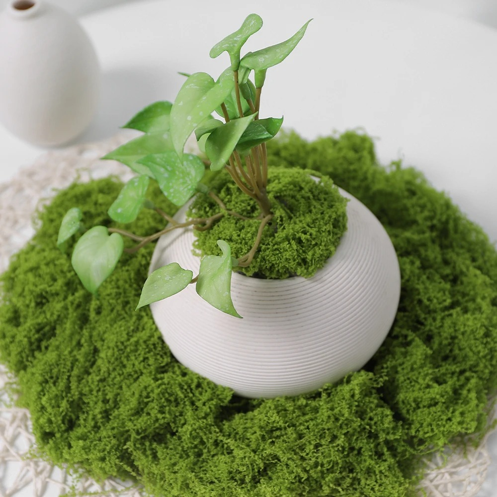 30/50/100g Artificial Green Pl - Sphagnum Moss Dry recensione e prezzo
