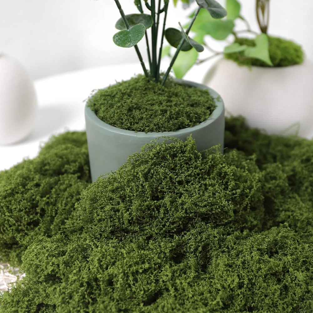 30/50/100g Artificial Green Pl - Sphagnum Moss Dry recensione e prezzo