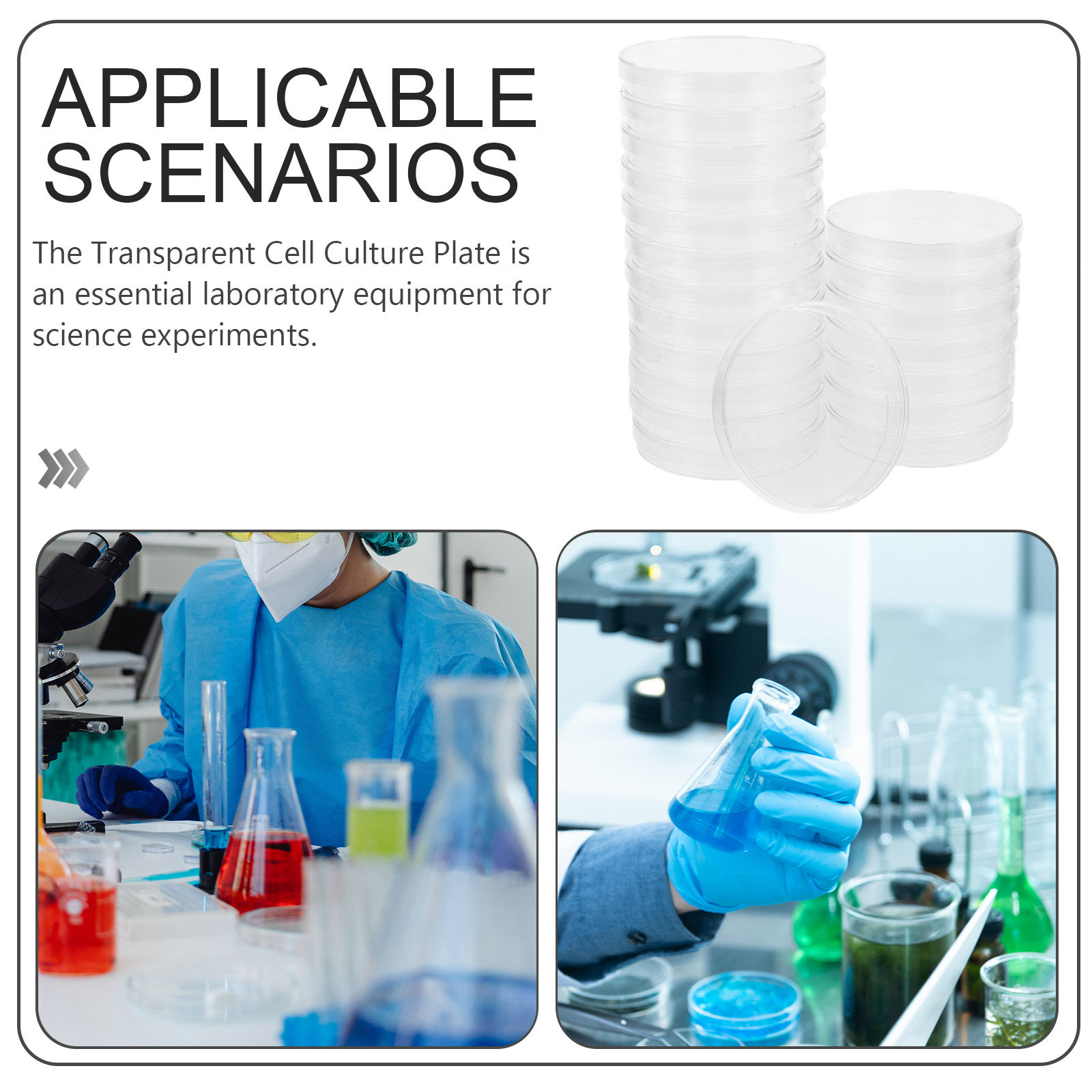 20Pcs Clear Sterile Petri Dish - Agar Tissue Culture recensione e prezzo