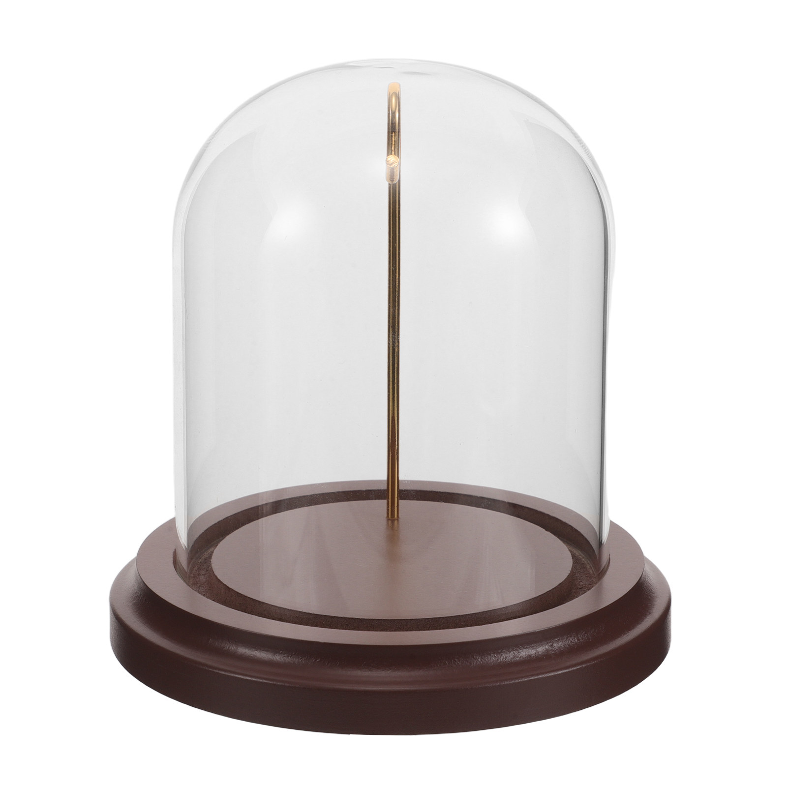 Glass Cloche Watch Display Sta - Plastic Dome Clear recensione e prezzo