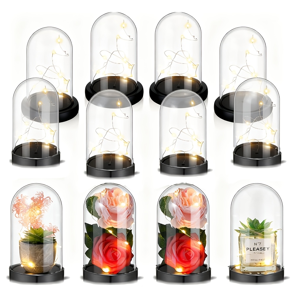 Clear Plastic Christmas Orname - Plastic Dome Clear recensione e prezzo