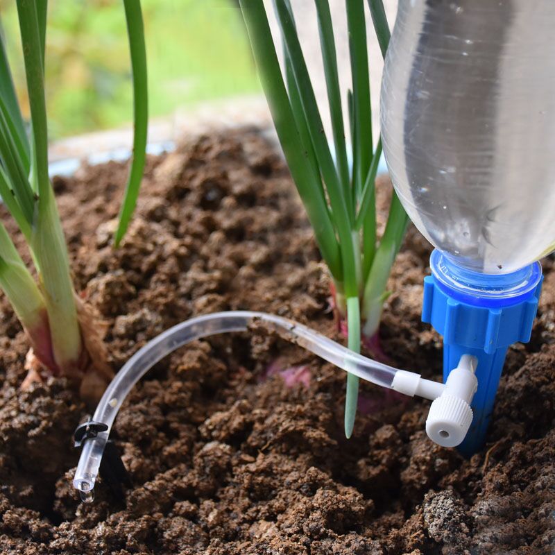 Drip Irrigation Automatic Plan - Self Watering Insert recensione e prezzo