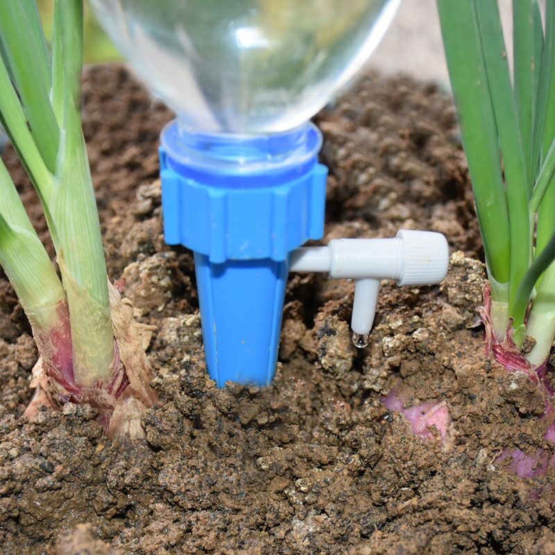 Drip Irrigation Automatic Plan - Self Watering Insert recensione e prezzo