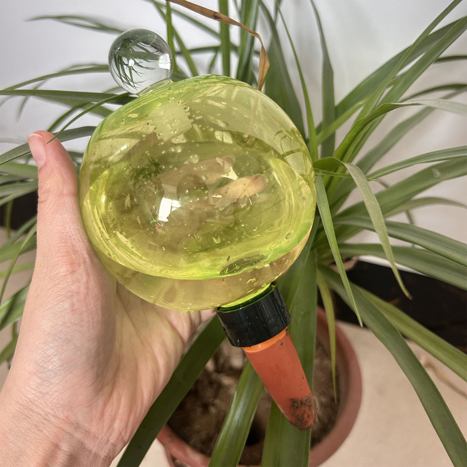 Self Watering Planter Insert T - Self Watering Insert recensione e prezzo