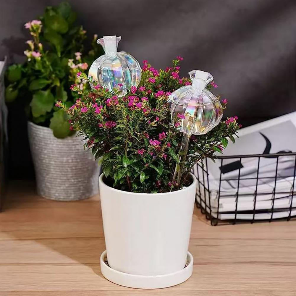 24cm Cactus Self Watering Bulb - Self Watering Insert recensione e prezzo