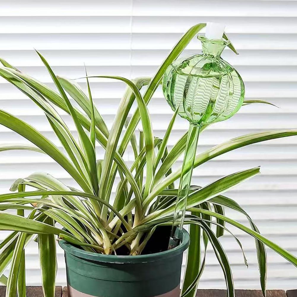 24cm Cactus Self Watering Bulb - Self Watering Insert recensione e prezzo