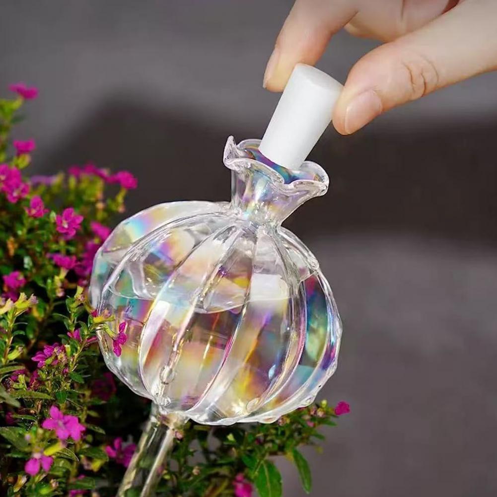 24cm Cactus Self Watering Bulb - Self Watering Insert recensione e prezzo