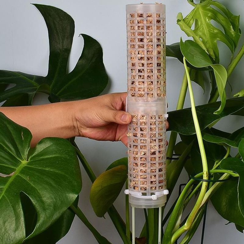 Plastics Moss Pole Plastics St - Sphagnum Moss Dry recensione e prezzo