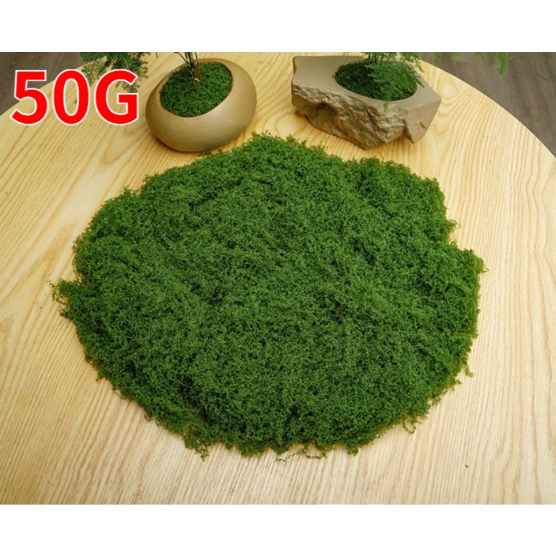 100gGreen Fake Moss DIY Crafts - Sphagnum Moss Dry recensione e prezzo