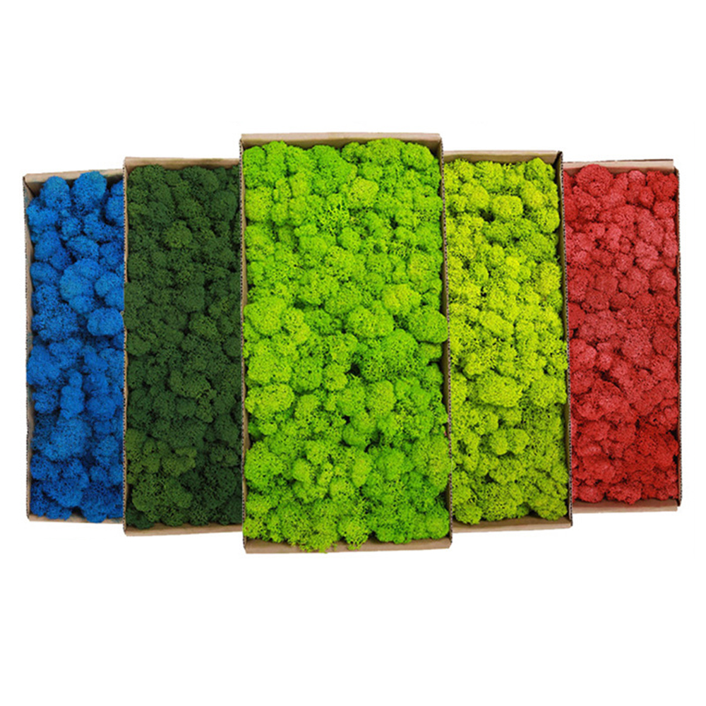 200g Artificial Green Plants M - Sphagnum Moss Dry recensione e prezzo
