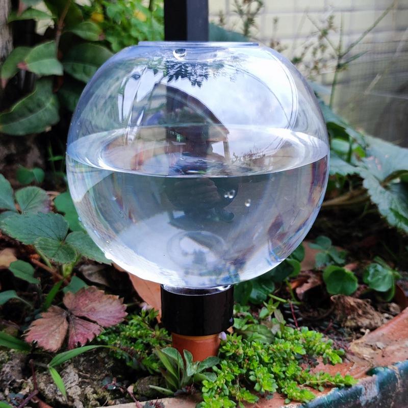 Plant Watering Bulbs Automatic - Self Watering Insert recensione e prezzo