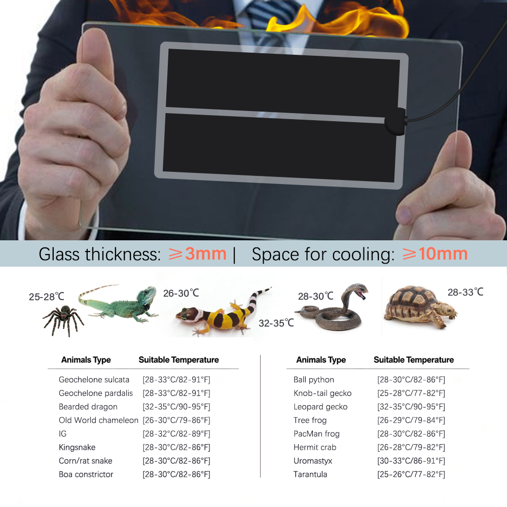 45W-5W 2/4/6H Timing Pet Heati - Heat Mat Seedling recensione e prezzo