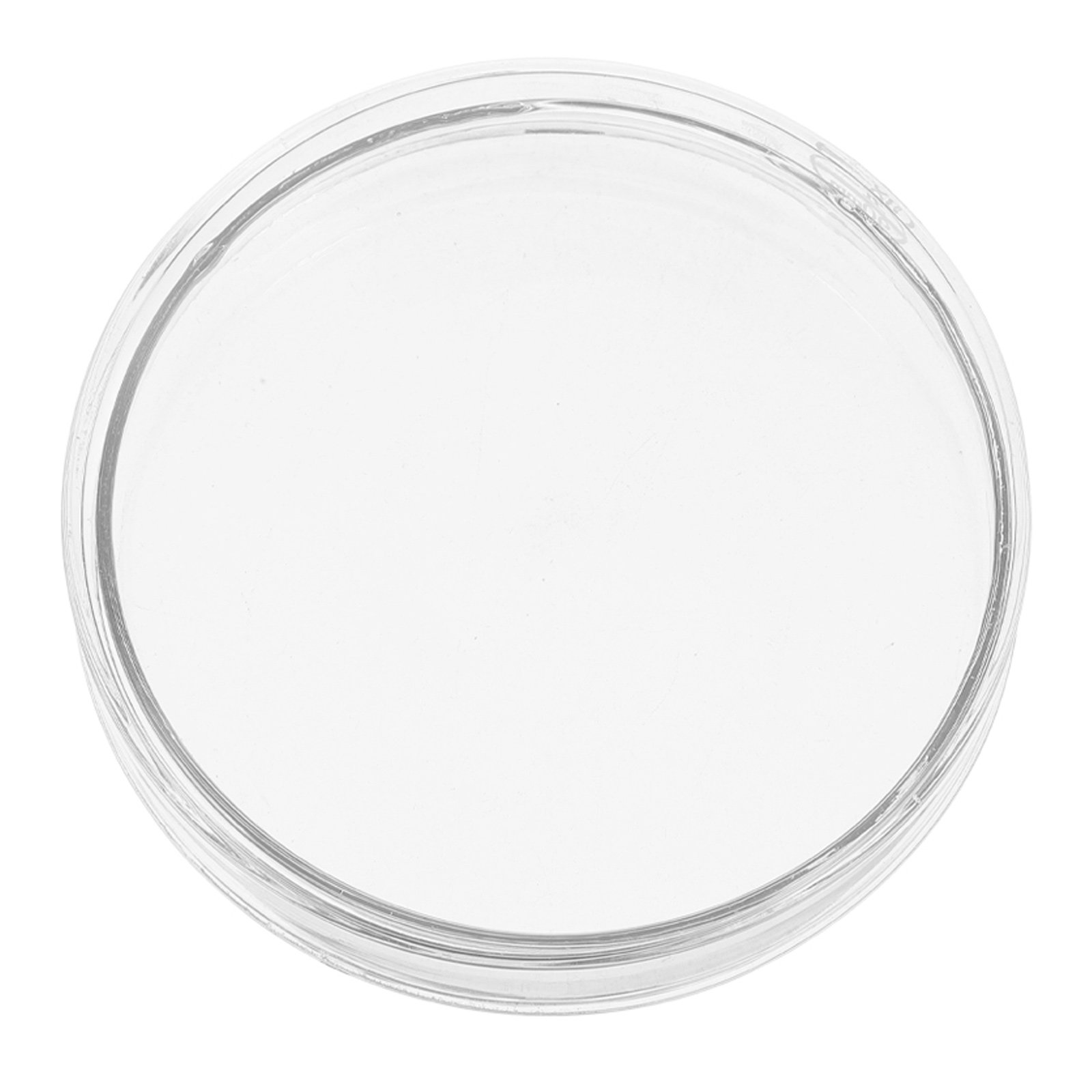 Laboratory Glass Petri Dish Fl - Agar Tissue Culture recensione e prezzo