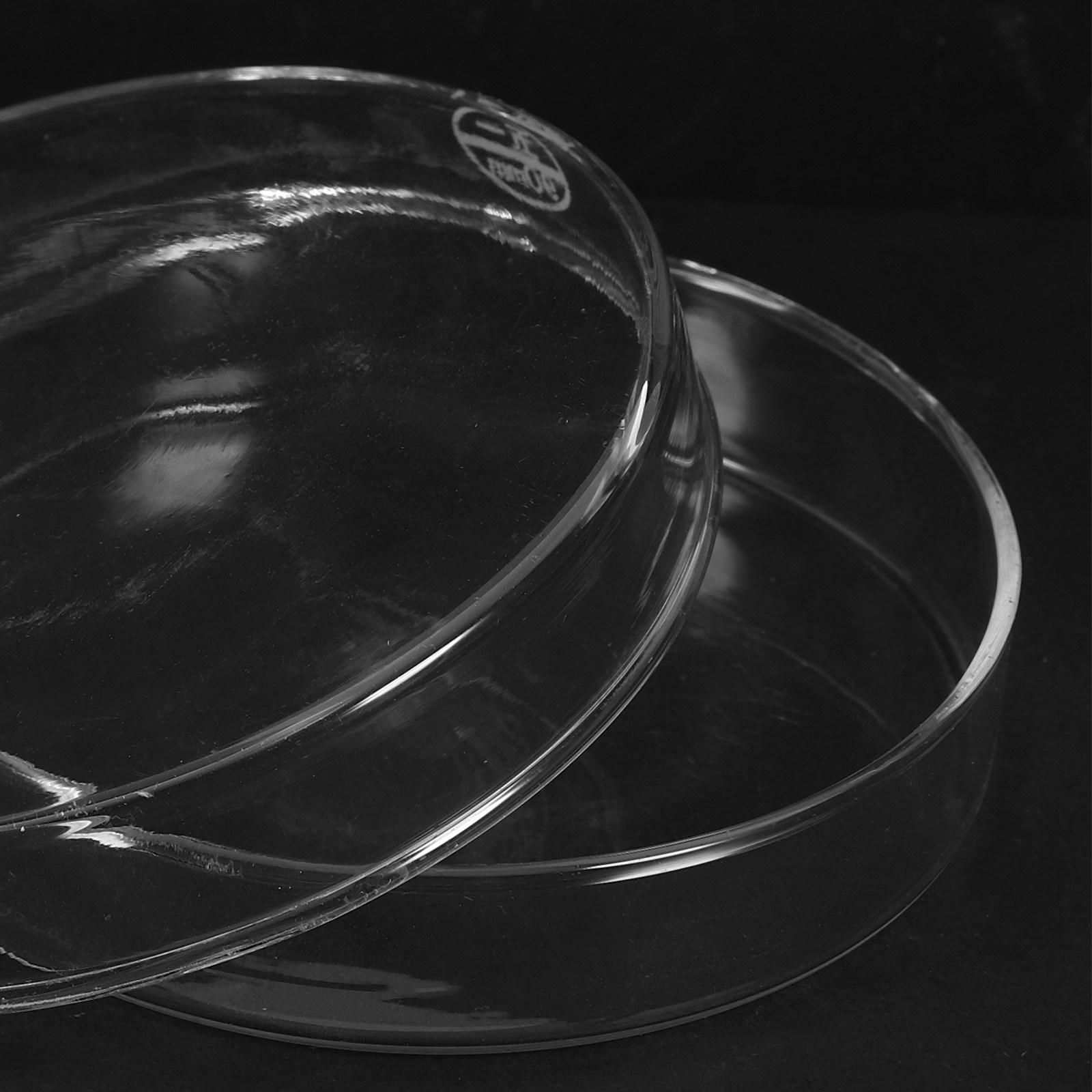 Laboratory Glass Petri Dish Fl - Agar Tissue Culture recensione e prezzo