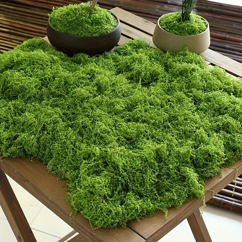 Green Fake Moss DIY Crafts Gra - Sphagnum Moss Dry recensione e prezzo