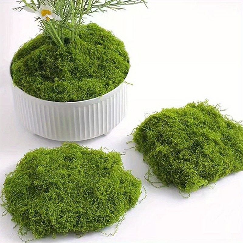 Green Fake Moss DIY Crafts Gra - Sphagnum Moss Dry recensione e prezzo