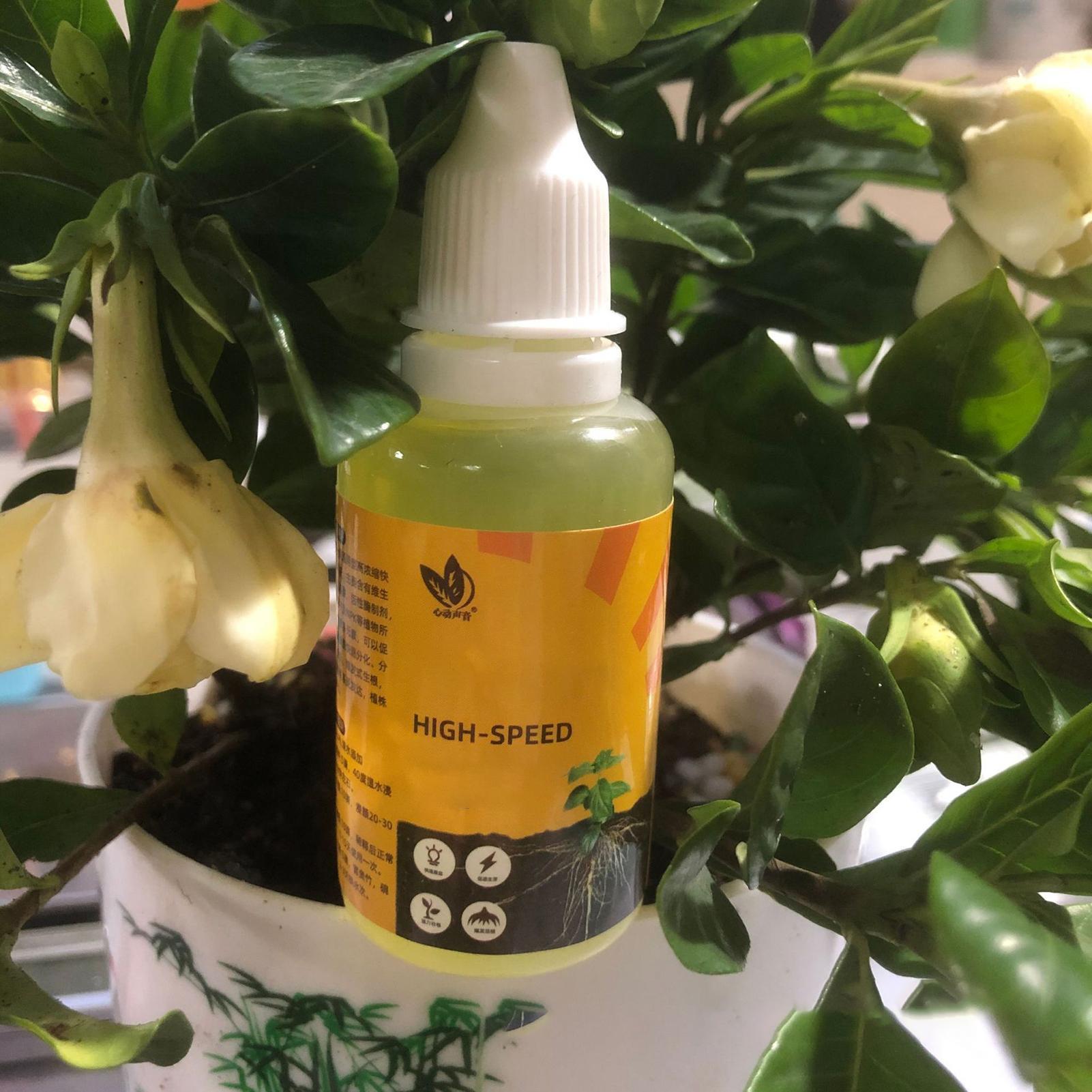 Plant Rapid Rooting Solution 5 - Root Stimulator Liquid recensione e prezzo