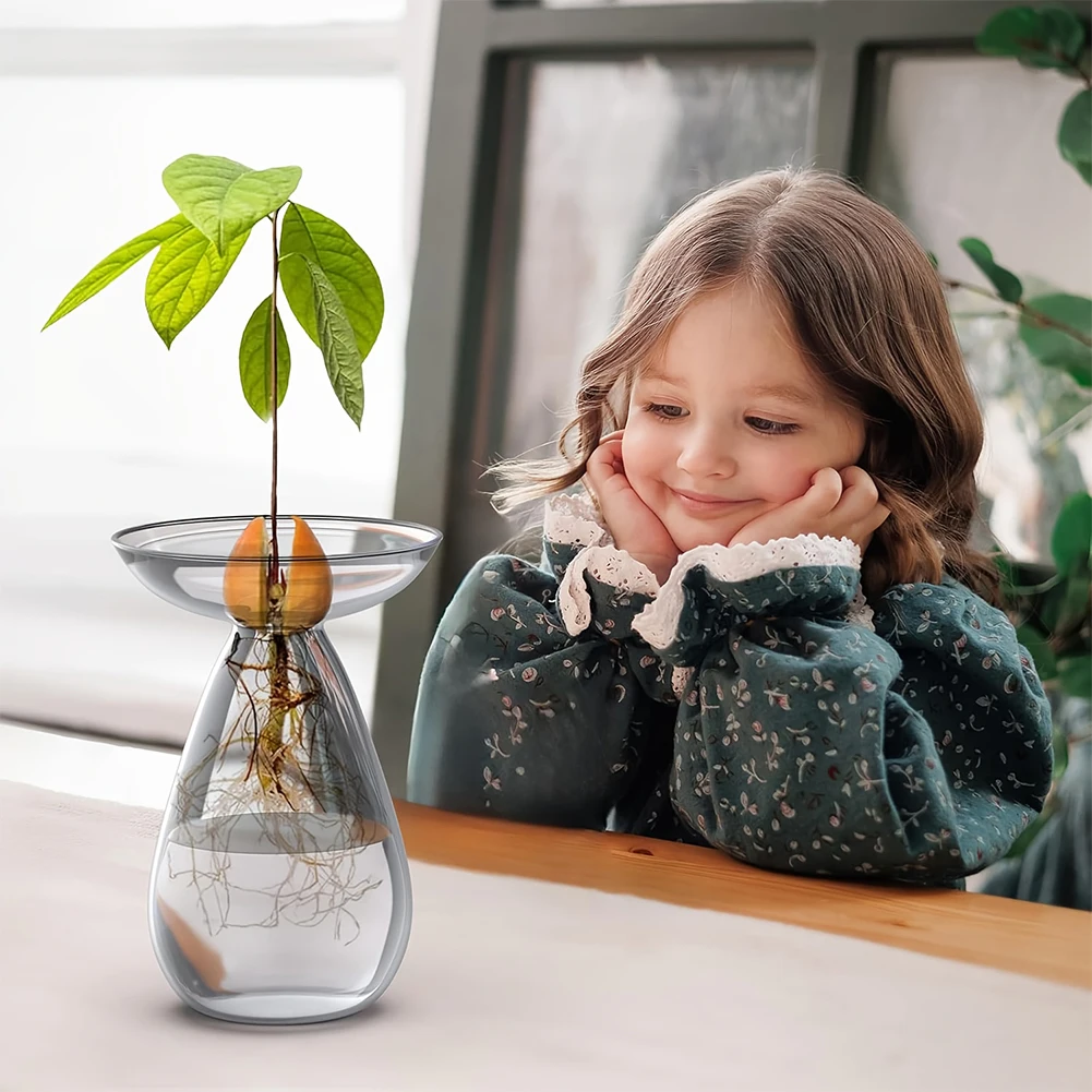 Avocado Seed Starter Vase Tran - Propagation Station Vase recensione e prezzo