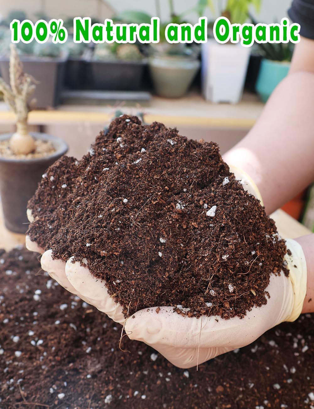 Potting Soil for All Indoor Ho - Coco Perlite Mix recensione e prezzo