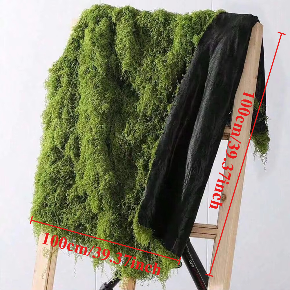 1*1m Fake Moss DIY Crafts Gras - Sphagnum Moss Dry recensione e prezzo