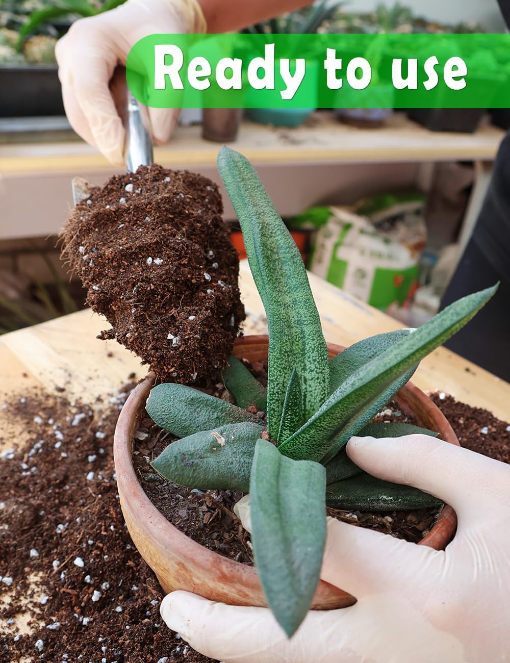 Potting Soil for All Indoor Ho - Coco Perlite Mix recensione e prezzo
